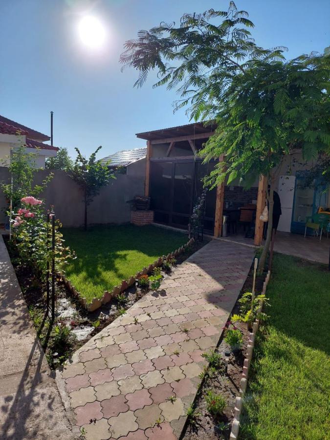 Albdevara Mar Srl Vama Veche Exteriör bild
